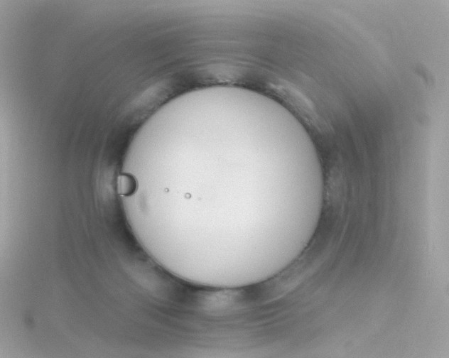 X0000115670122200911251738