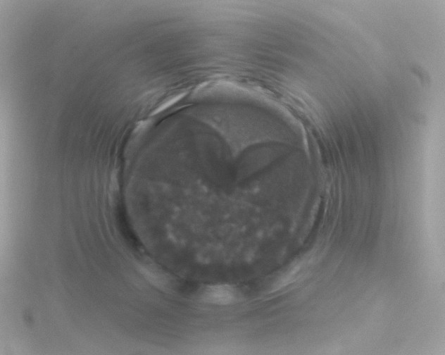 X0000115670127200911251738