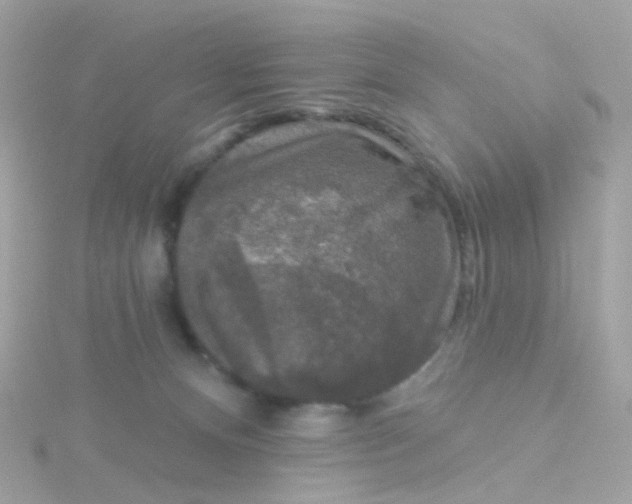 X0000115670128200911251738