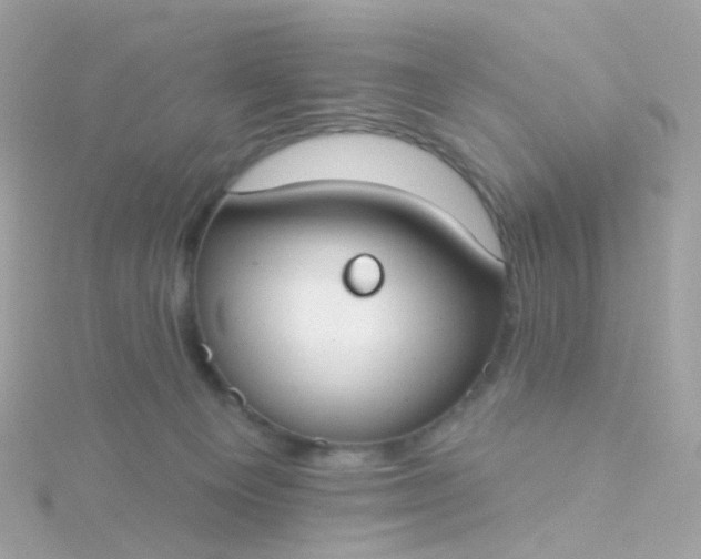 X0000115670129200911251738