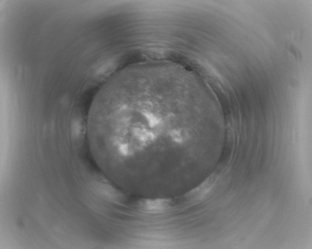 X0000115670134200911251738