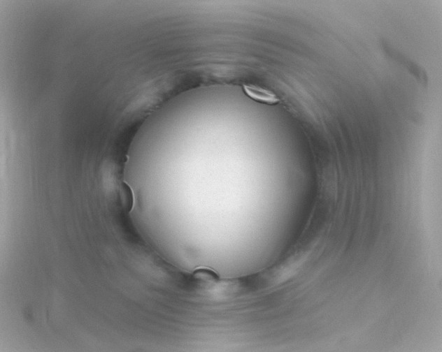 X0000115670135200911251738