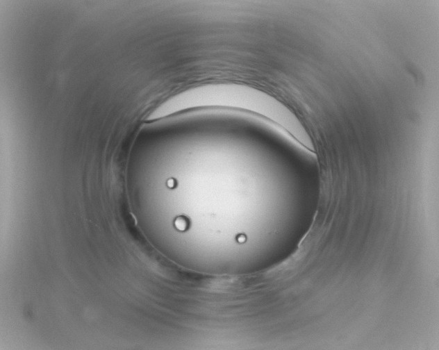 X0000115670136200911251738