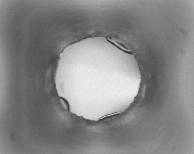 X0000115670144200911251738