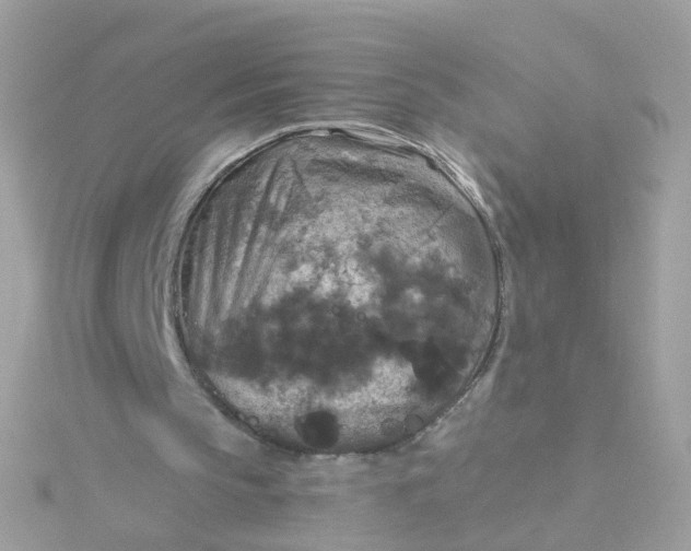 X0000115670145200911251737