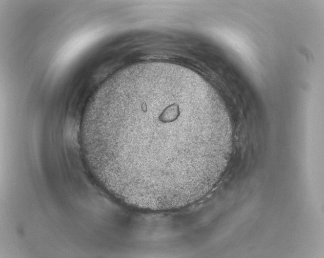 X0000115670146200911251737