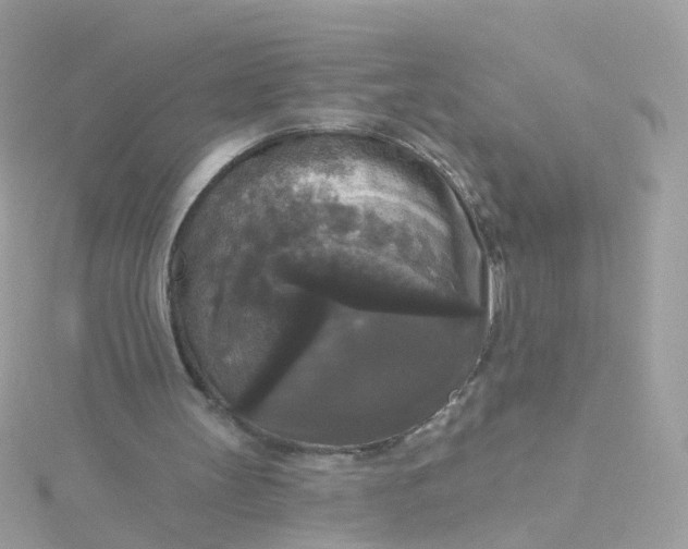 X0000115670147200911251737