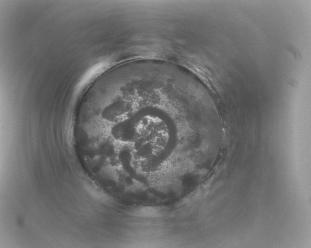 X0000115670149200911251737