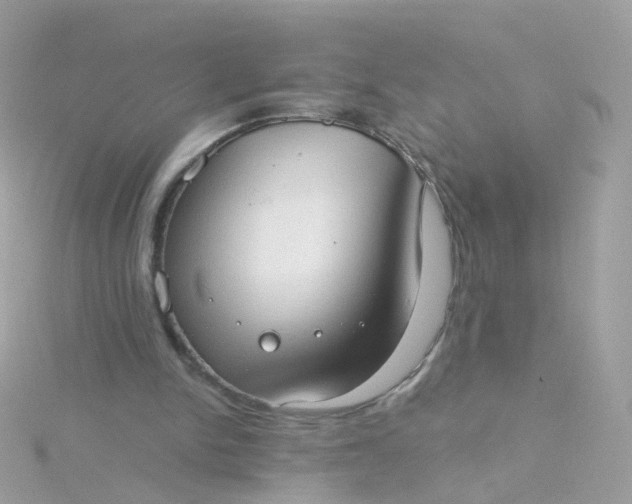 X0000115670150200911251737