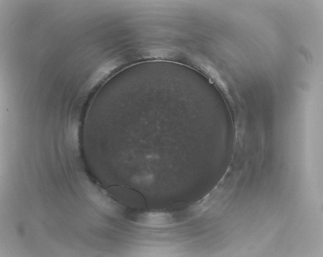 X0000115670154200911251737