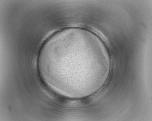 X0000115670155200911251737