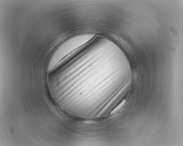 X0000115670158200911251737