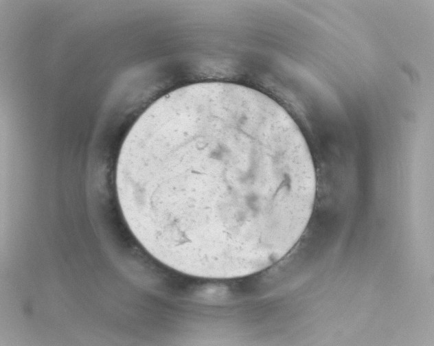 X0000115670162200911251737