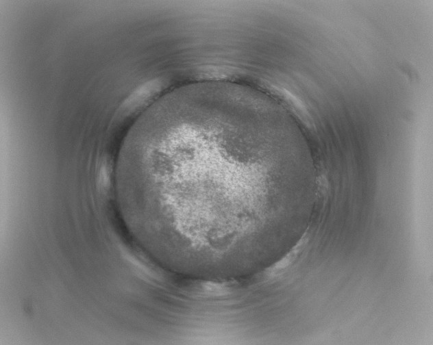 X0000115670166200911251737