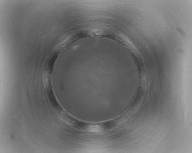 X0000115670169200911251737