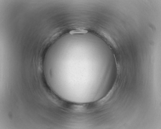 X0000115670170200911251737