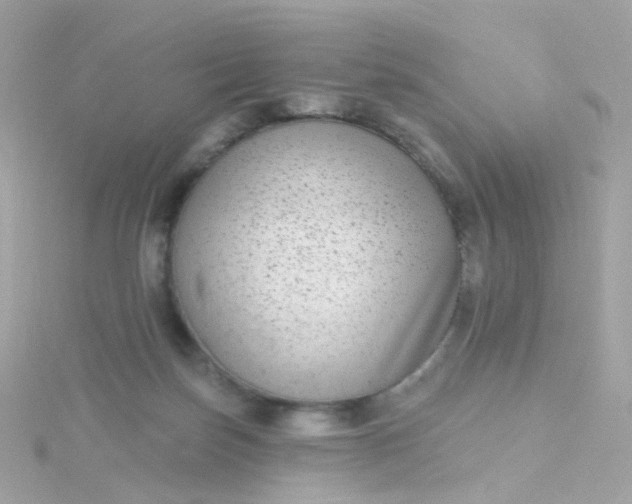 X0000115670171200911251737