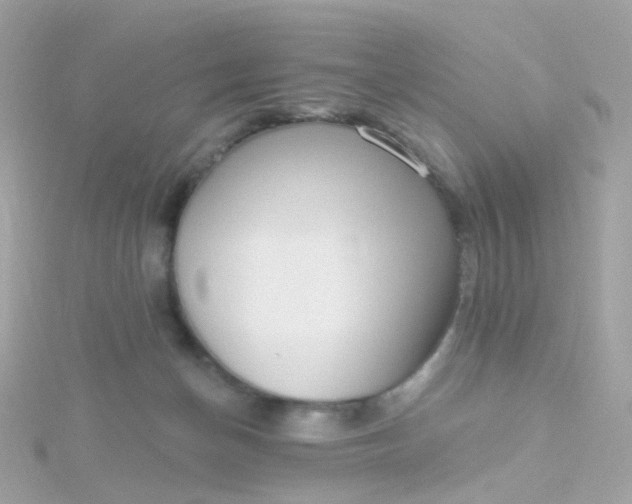 X0000115670174200911251738