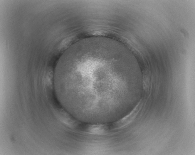 X0000115670175200911251738