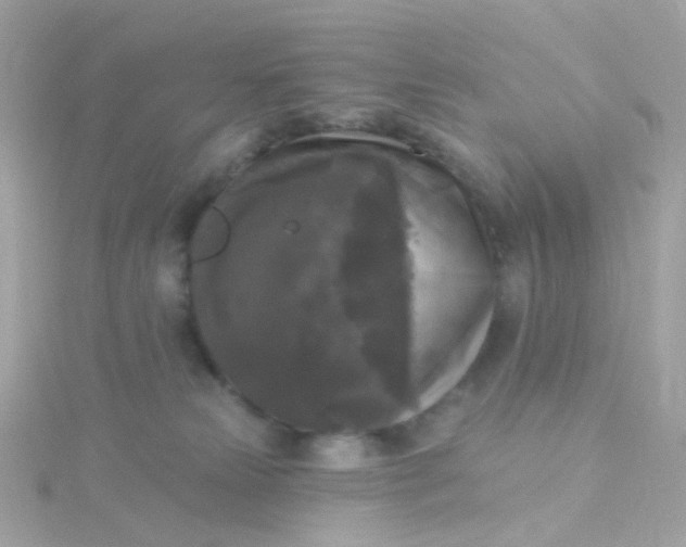 X0000115670181200911251738