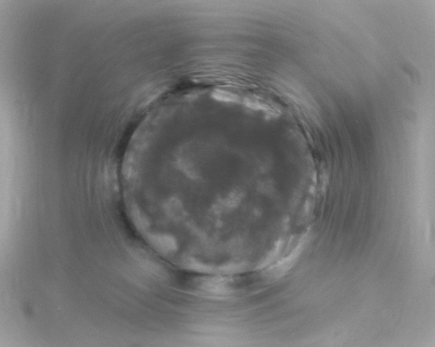 X0000115670182200911251738