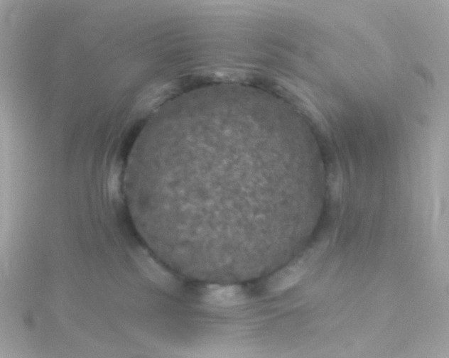 X0000115670185200911251738