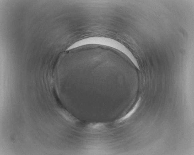 X0000115670186200911251738