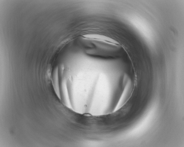 X0000115670190200911251738