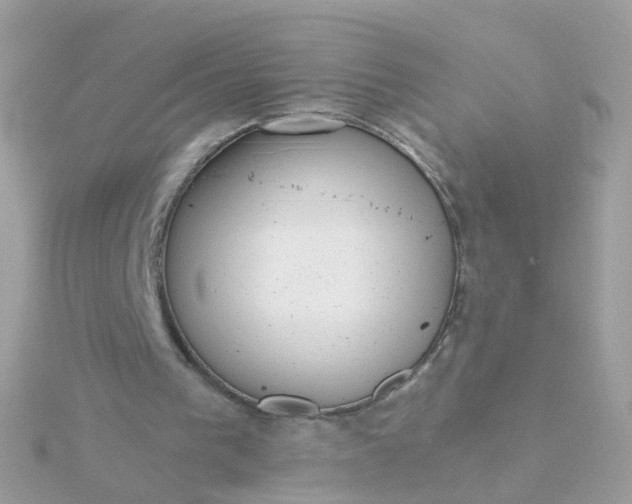 X0000115670193200911251737