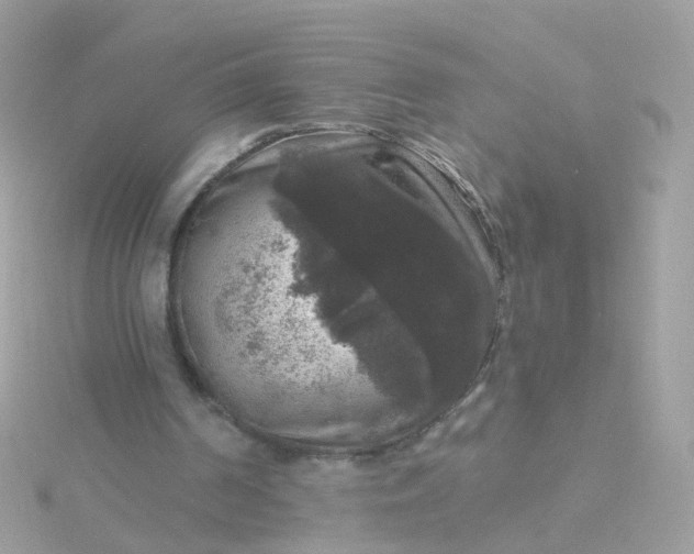 X0000115670194200911251737