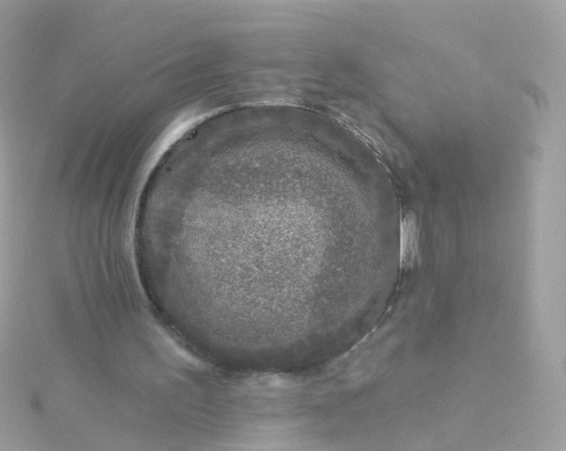 X0000115670195200911251737