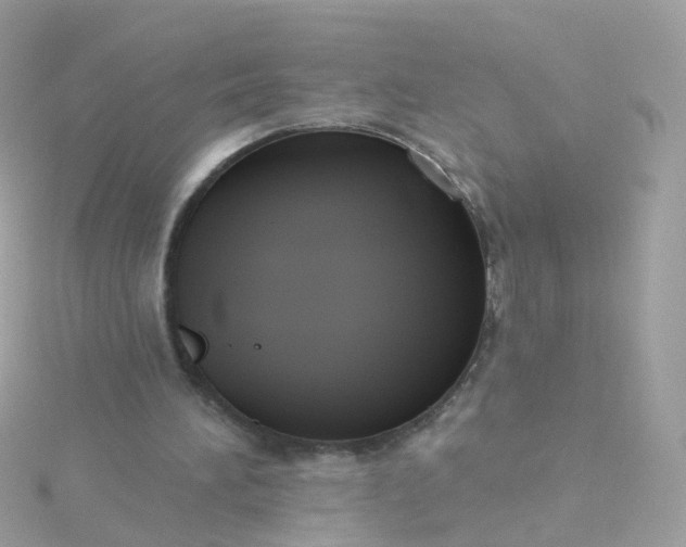 X0000115670196200911251737