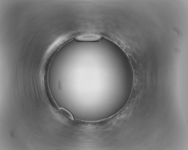 X0000115670197200911251737