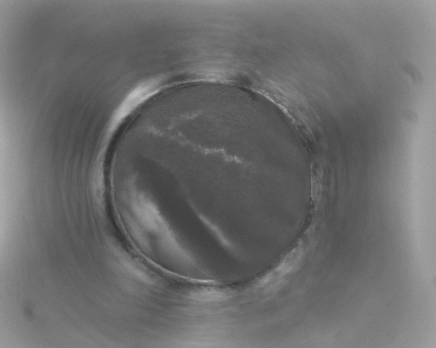 X0000115670198200911251737