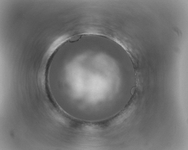 X0000115670199200911251737