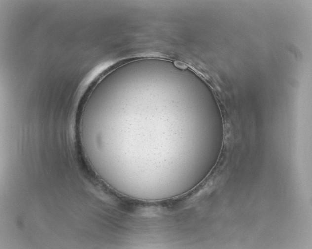 X0000115670200200911251737