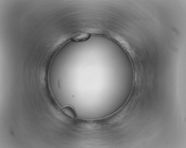 X0000115670201200911251737