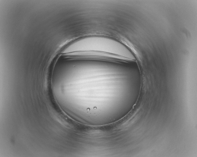 X0000115670203200911251737