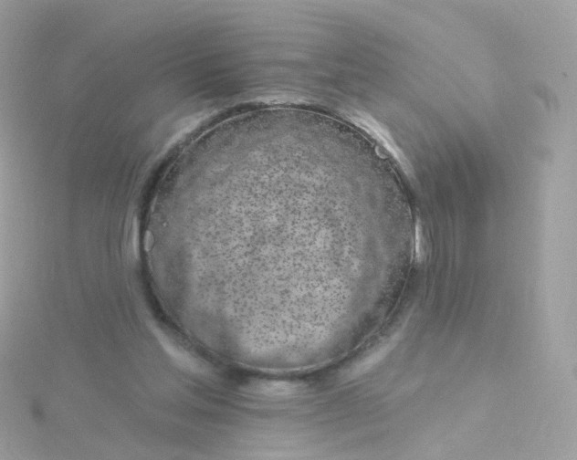 X0000115670205200911251737