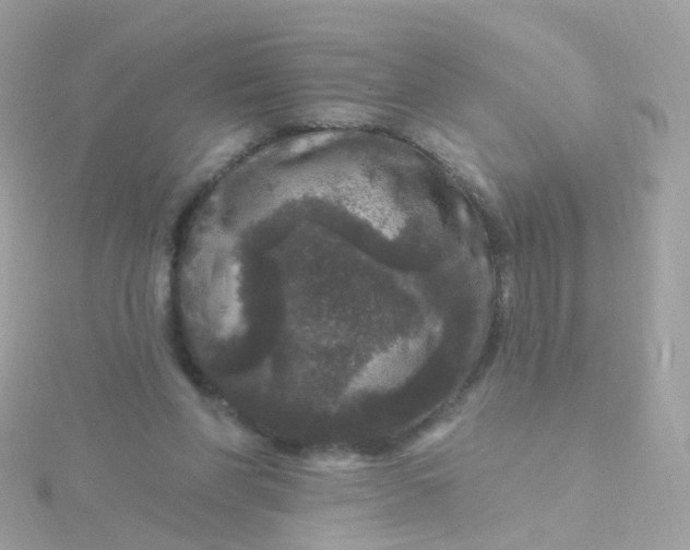 X0000115670206200911251737