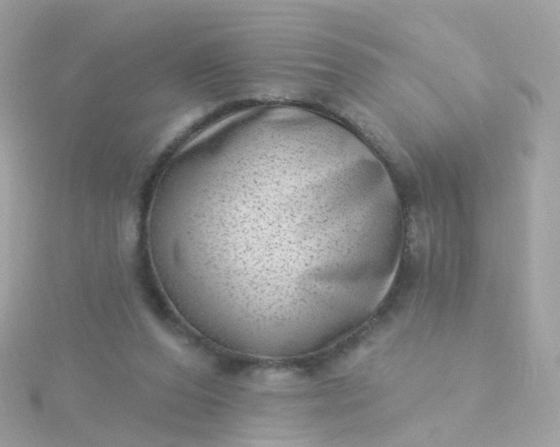 X0000115670208200911251737