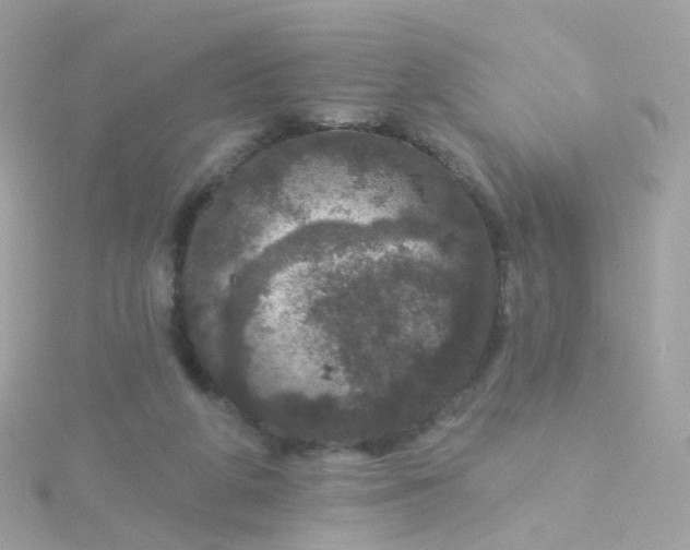 X0000115670210200911251737