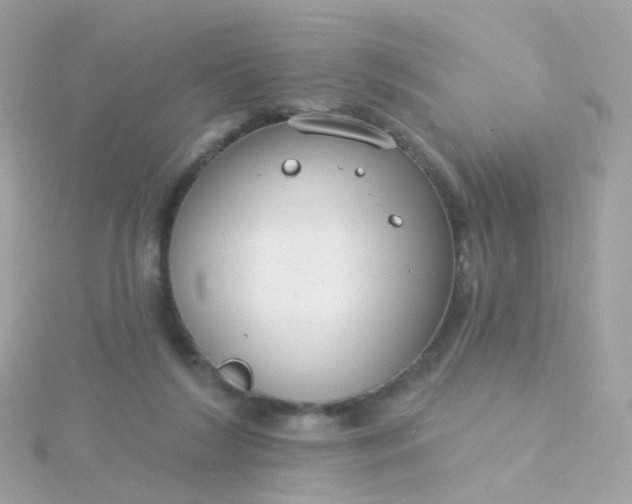 X0000115670212200911251737