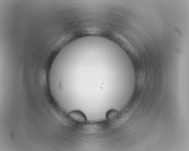 X0000115670213200911251737