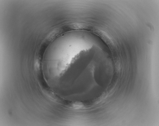 X0000115670214200911251737