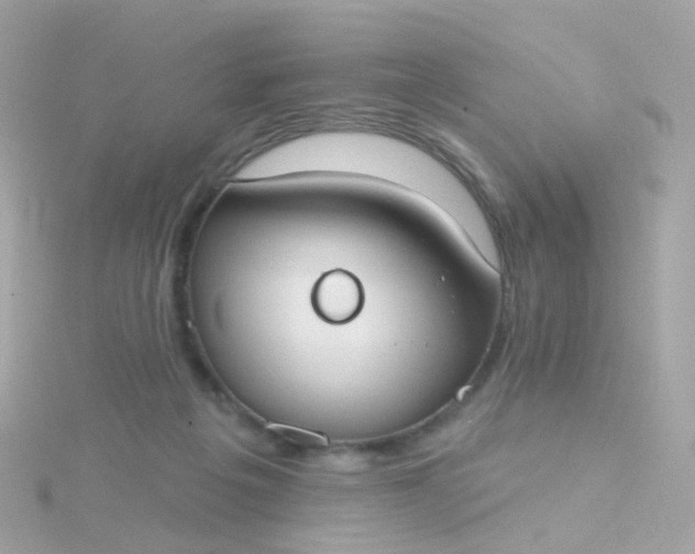 X0000115670217200911251737