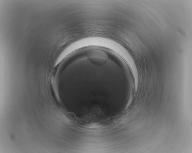 X0000115670219200911251737