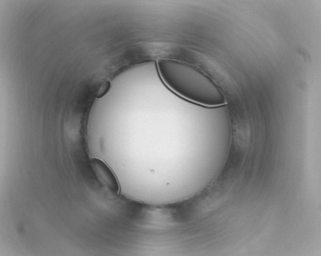 X0000115670221200911251737