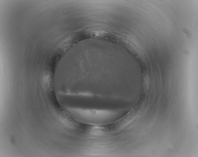 X0000115670222200911251737