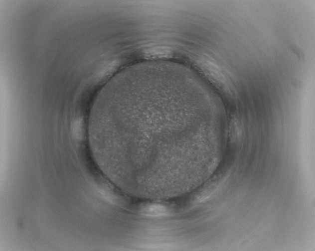 X0000115670224200911251737